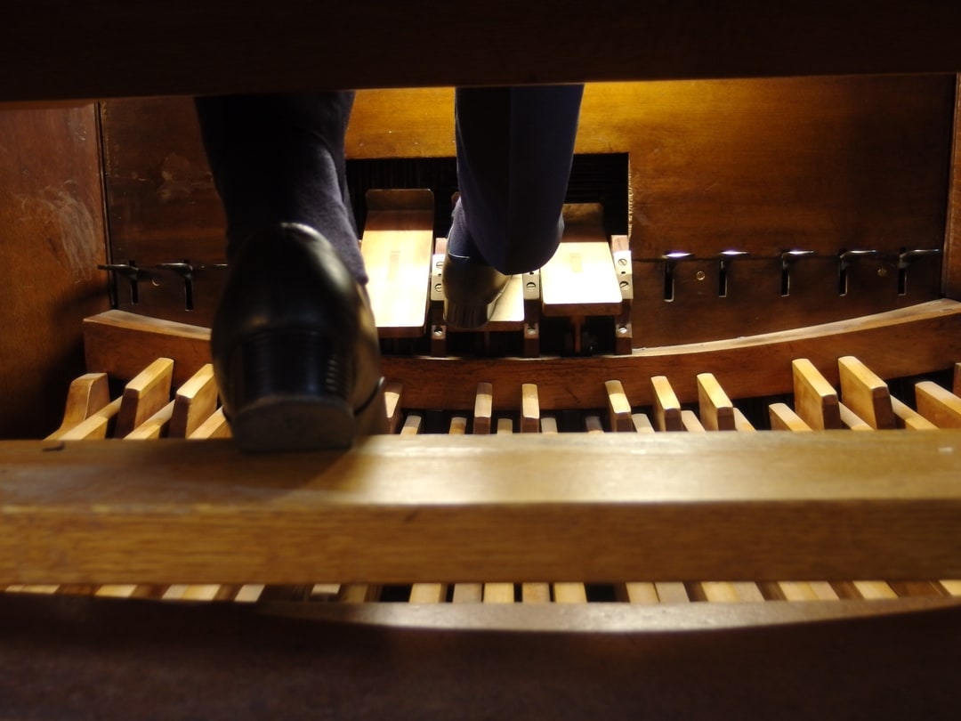 Elflin, CC BY-SA 4.0 <https://creativecommons.org/licenses/by-sa/4.0>, via Wikimedia Commons