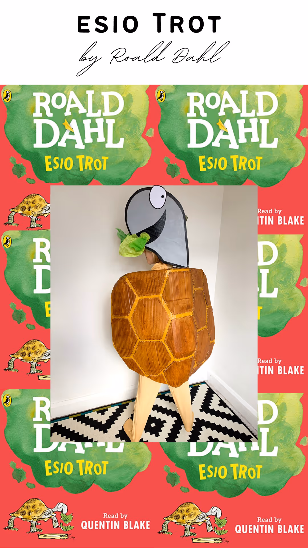 Esio Trot Tortoise Costume - Mother Of Grom - World Book Day