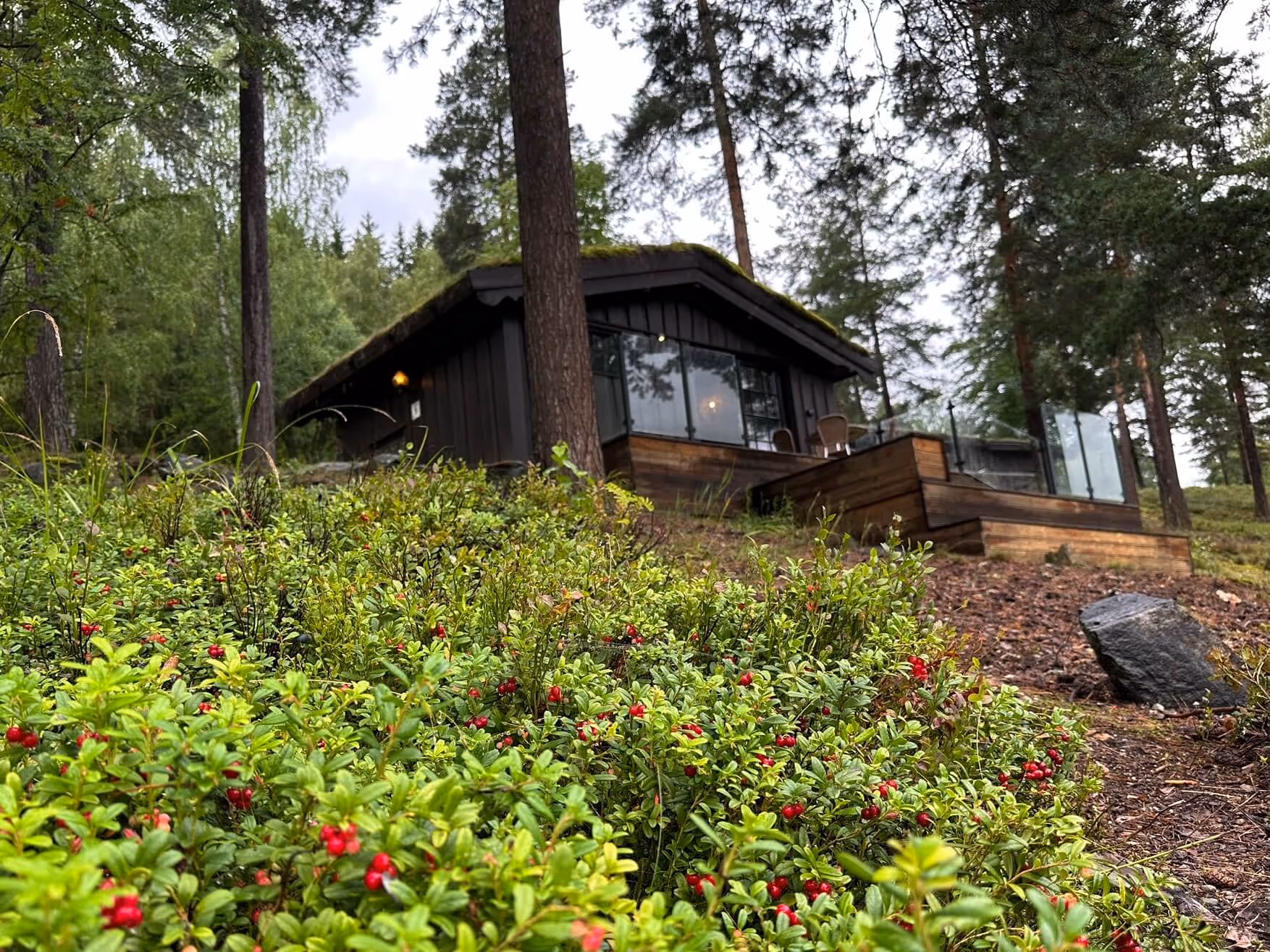 Hunderfossen Accommodation | Mother Of Grom