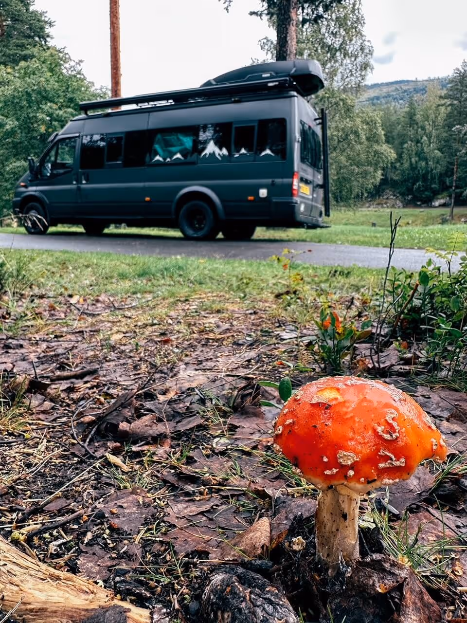 Hunderfossen Accommodation | Mother Of Grom