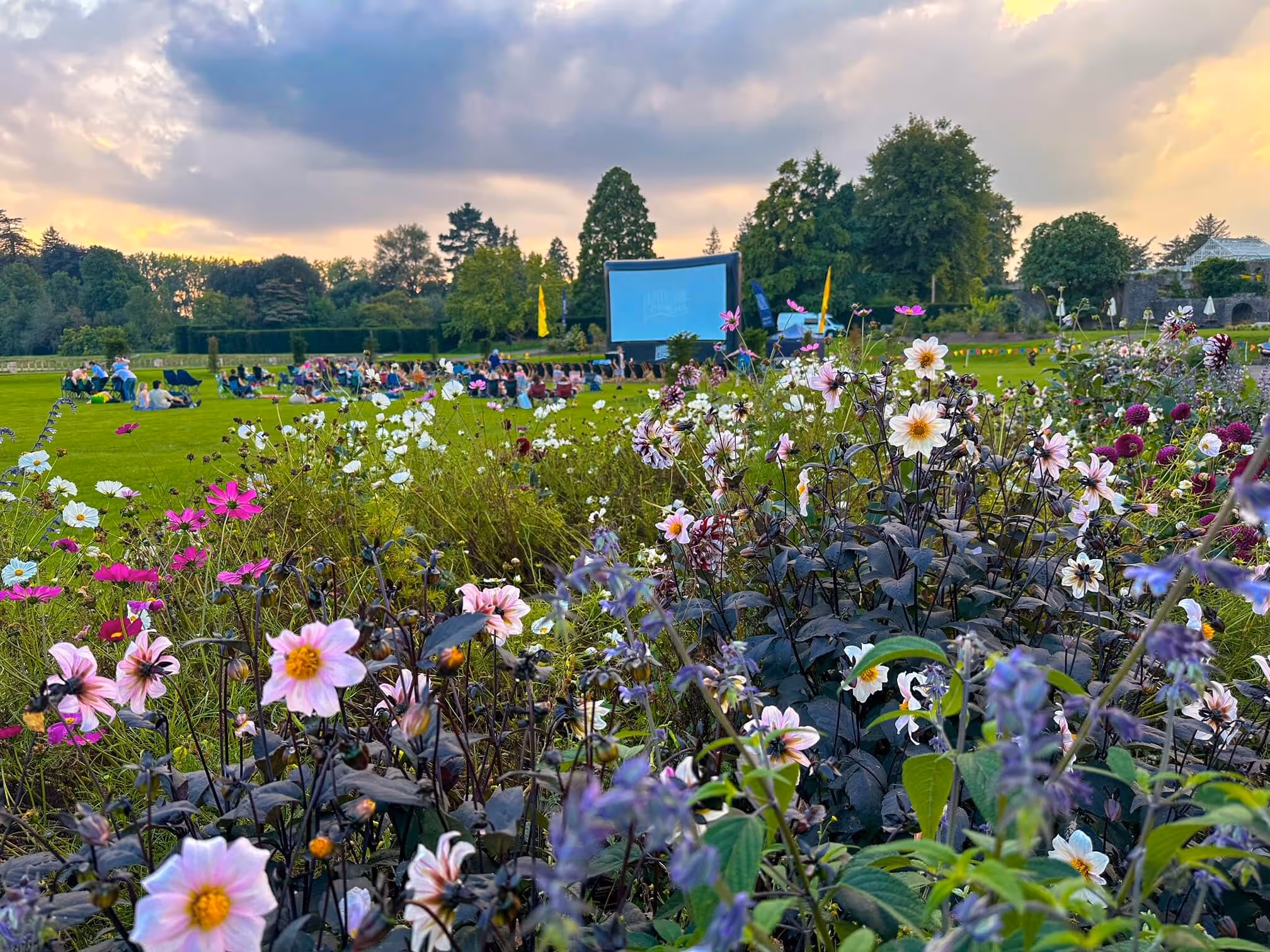 Adventure Cinema | Mother Of Grom