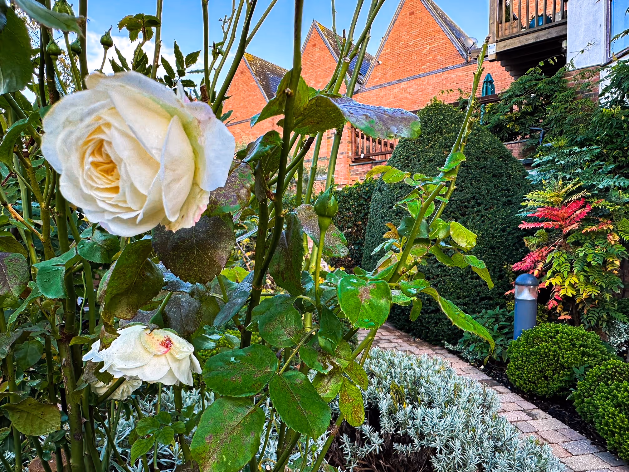 Hotel Indigo Stratford-Upon-Avon | Mother Of Grom