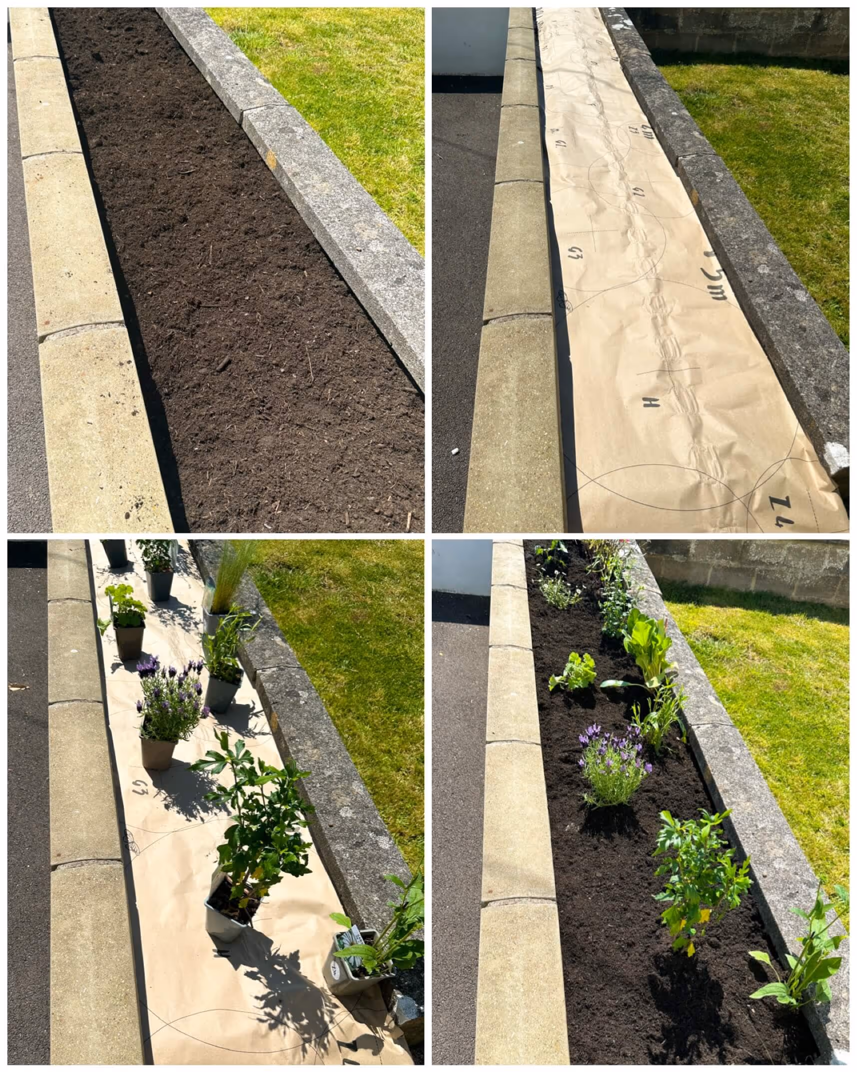 Step-by-step planting with Garden on a Roll | Mother Of Grom