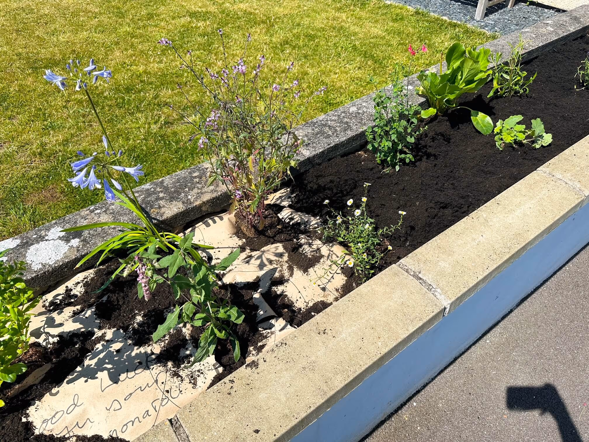 Garden on a Roll setup in a sunny garden