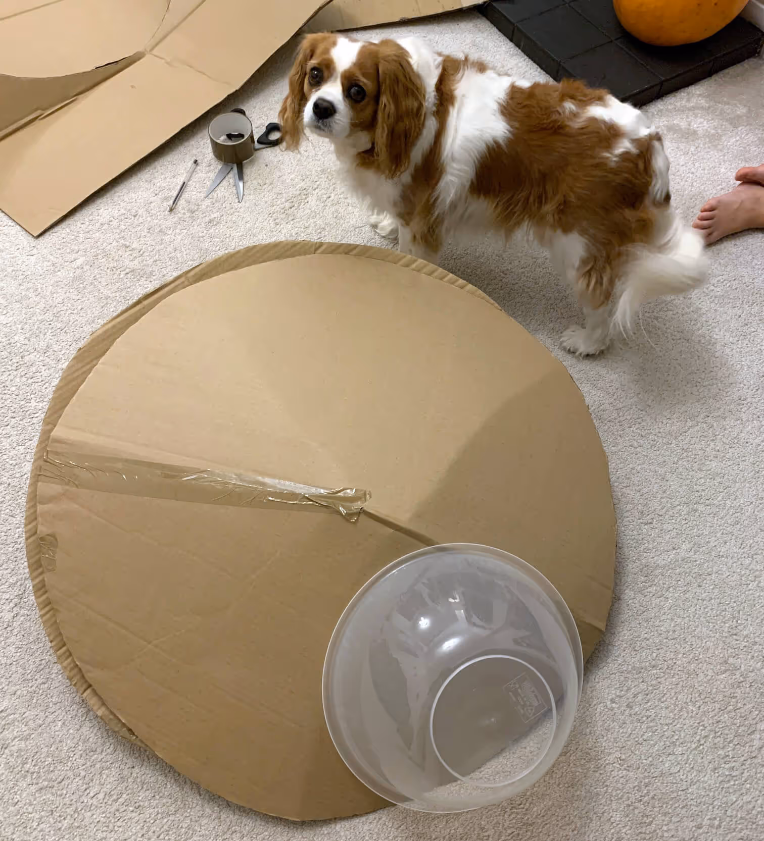 Mother of Grom - Alien Abductions Costume