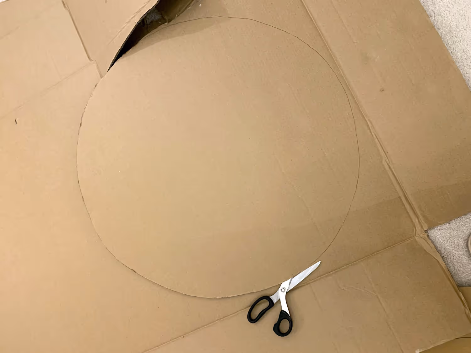 Mother of Grom - Alien Abduction Costume