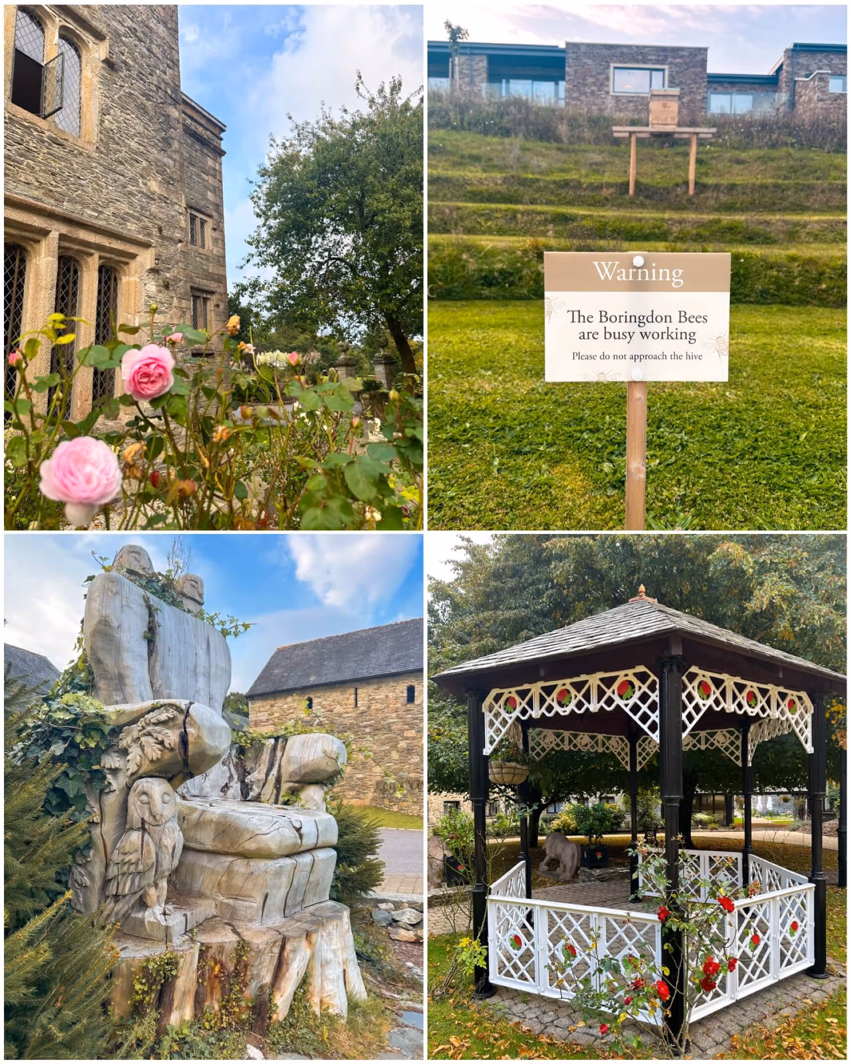 A breathtaking view of Boringdon Hall's grand historic building surrounded by lush autumnal trees, vibrant roses, and well-manicured gardens, showcasing the serene beauty of the estate.