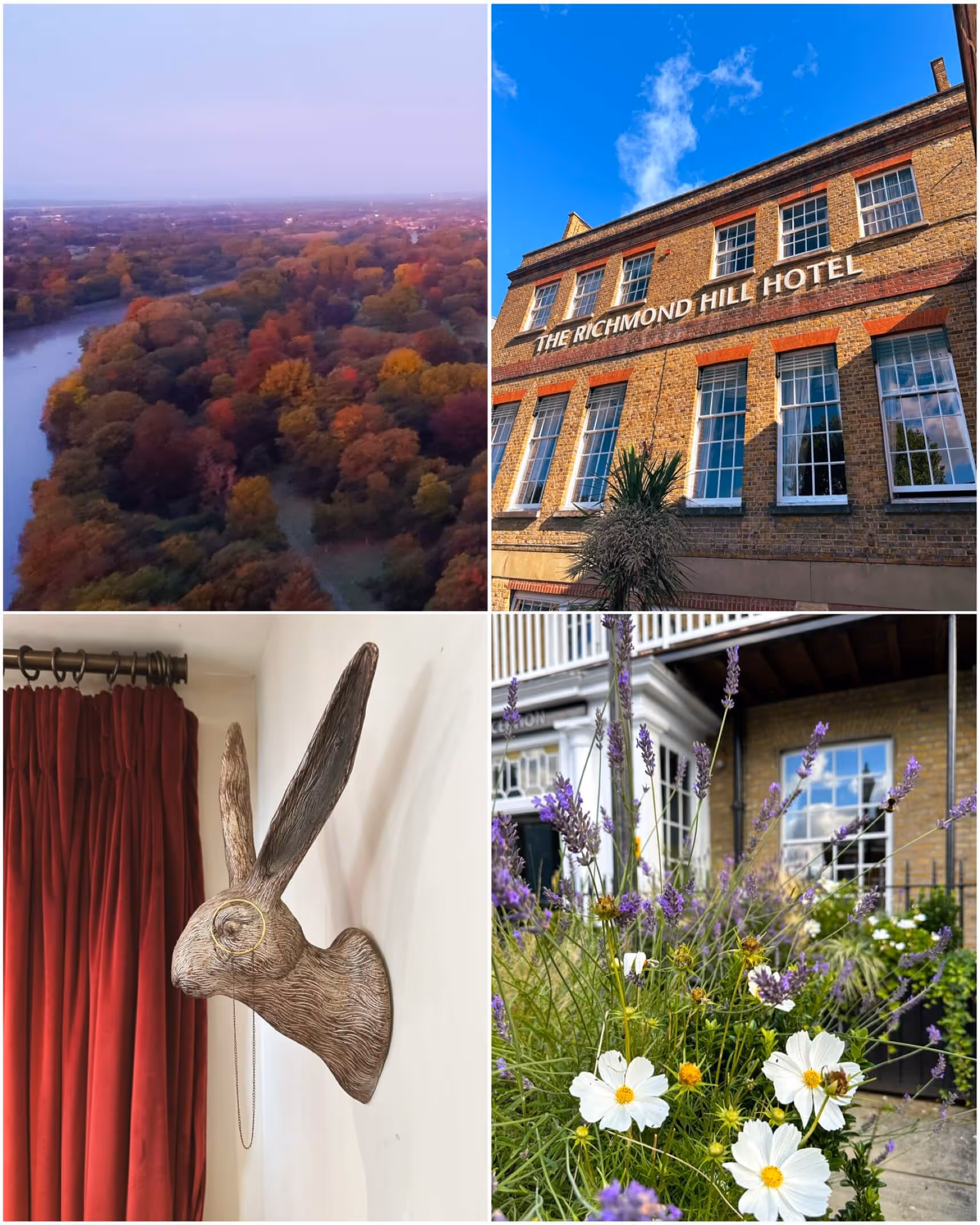 A collage of images showcasing the elegant exterior of Richmond Hill Hotel, highlighting its historic architecture, beautiful surroundings, and scenic views of the nearby Richmond Park and the River Thames.