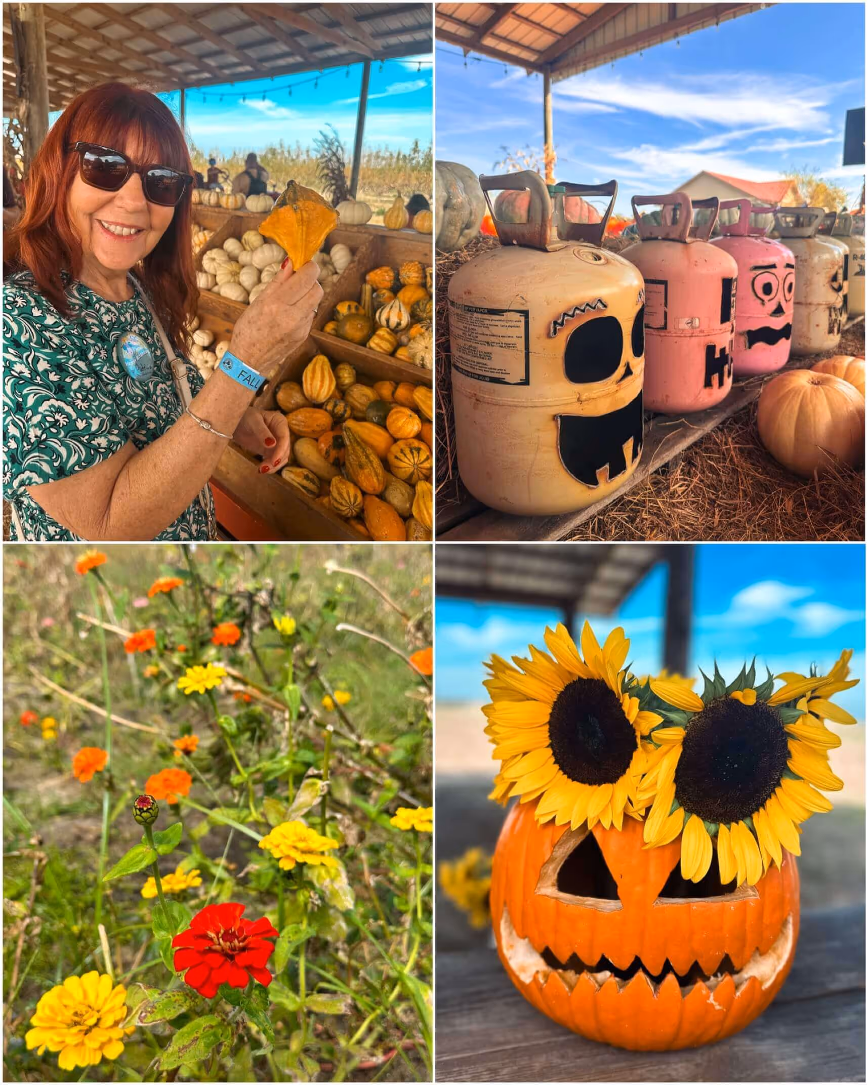 Make floral arrangements with freshly picked flowers and pumpkins