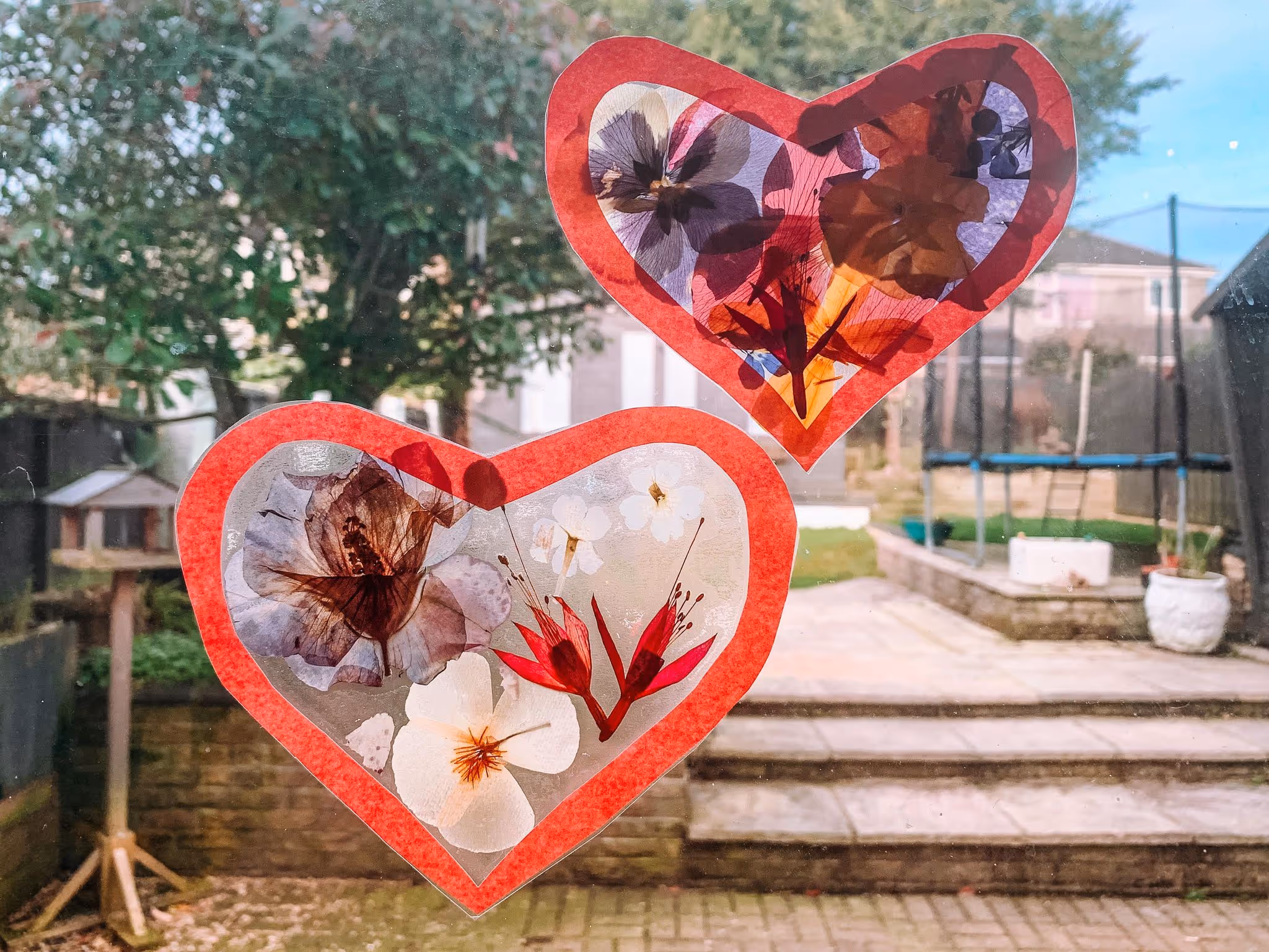 Mother of Grom - Pressed Flower Suncatcher