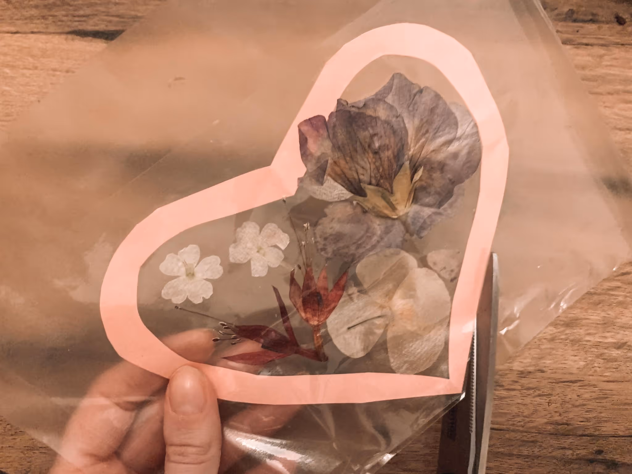 Mother of Grom - Making A pressed Flower Suncatcher 8