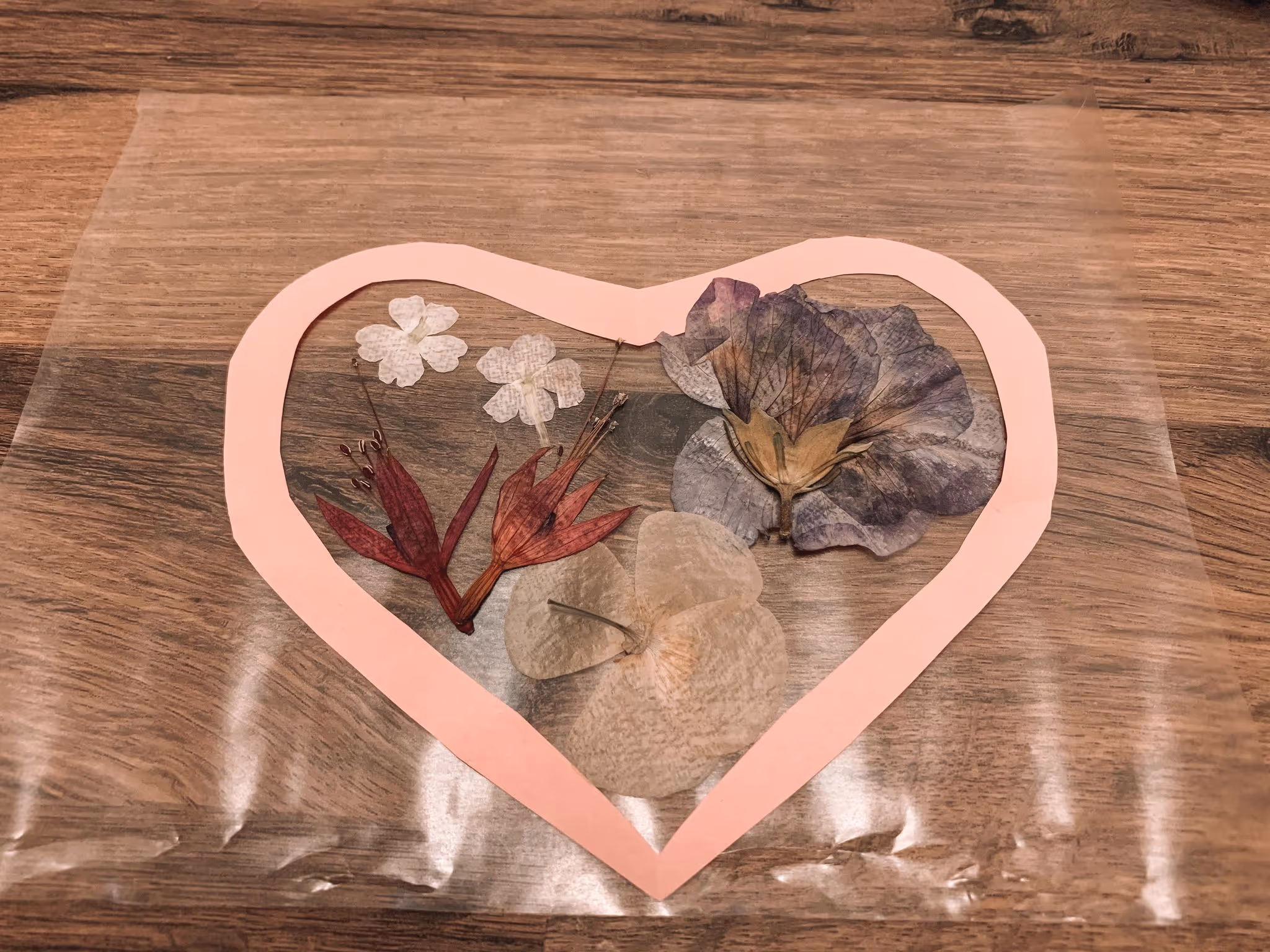 Mother of Grom - Making A pressed Flower Suncatcher 6