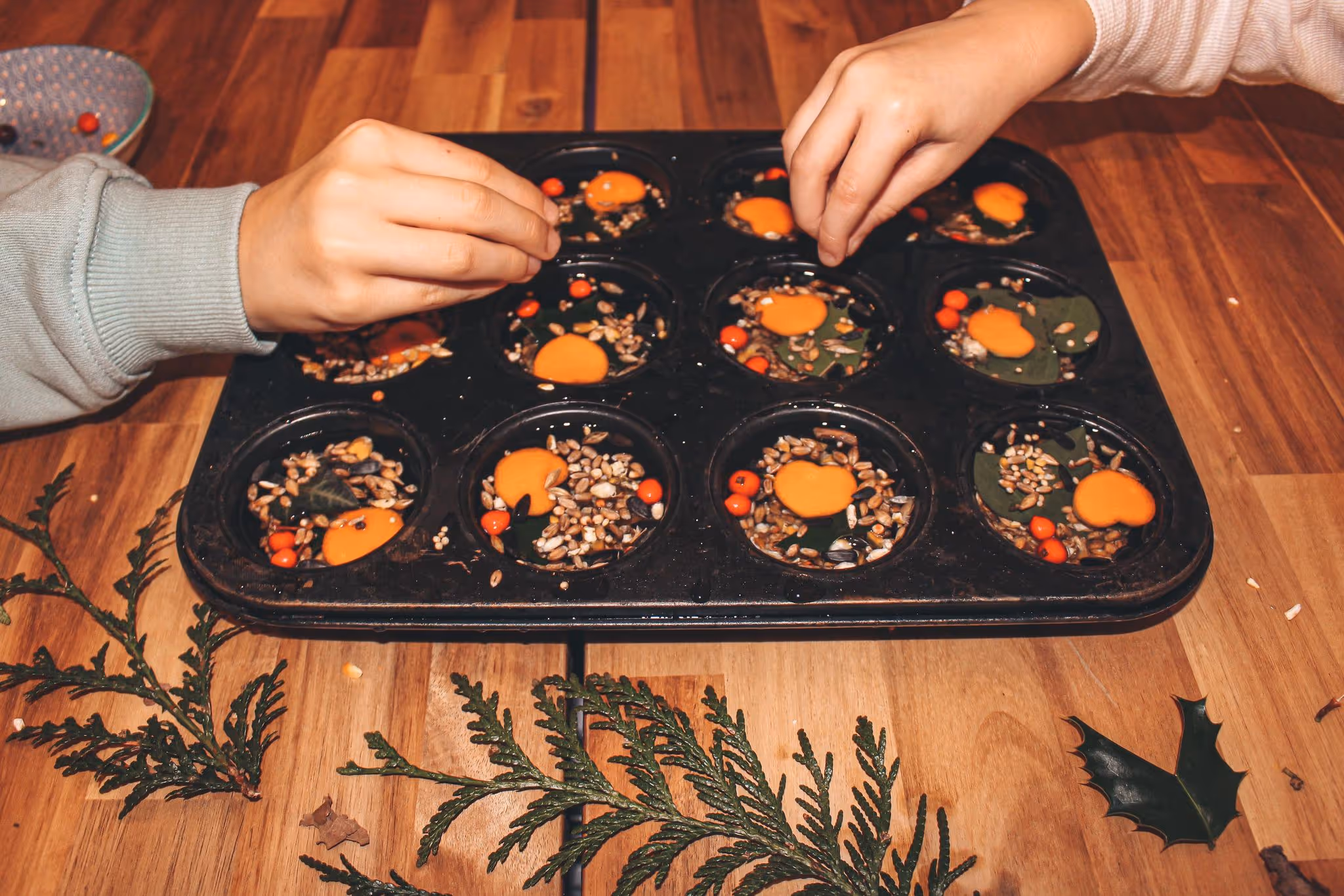 Hanging Ice Ornament Bird Feeder - Mother Of Grom