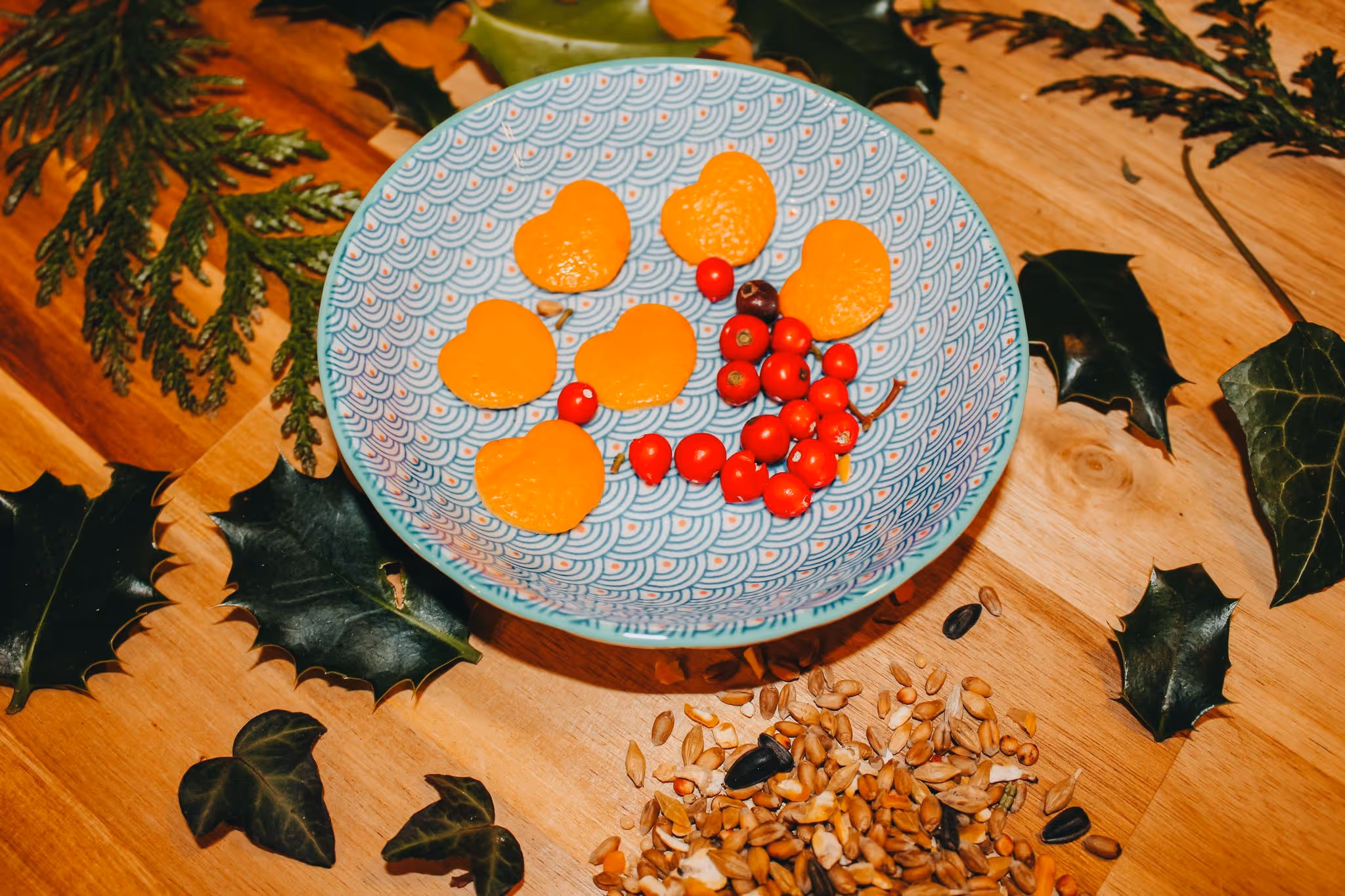 Hanging Ice Ornament Bird Feeder - Mother Of Grom