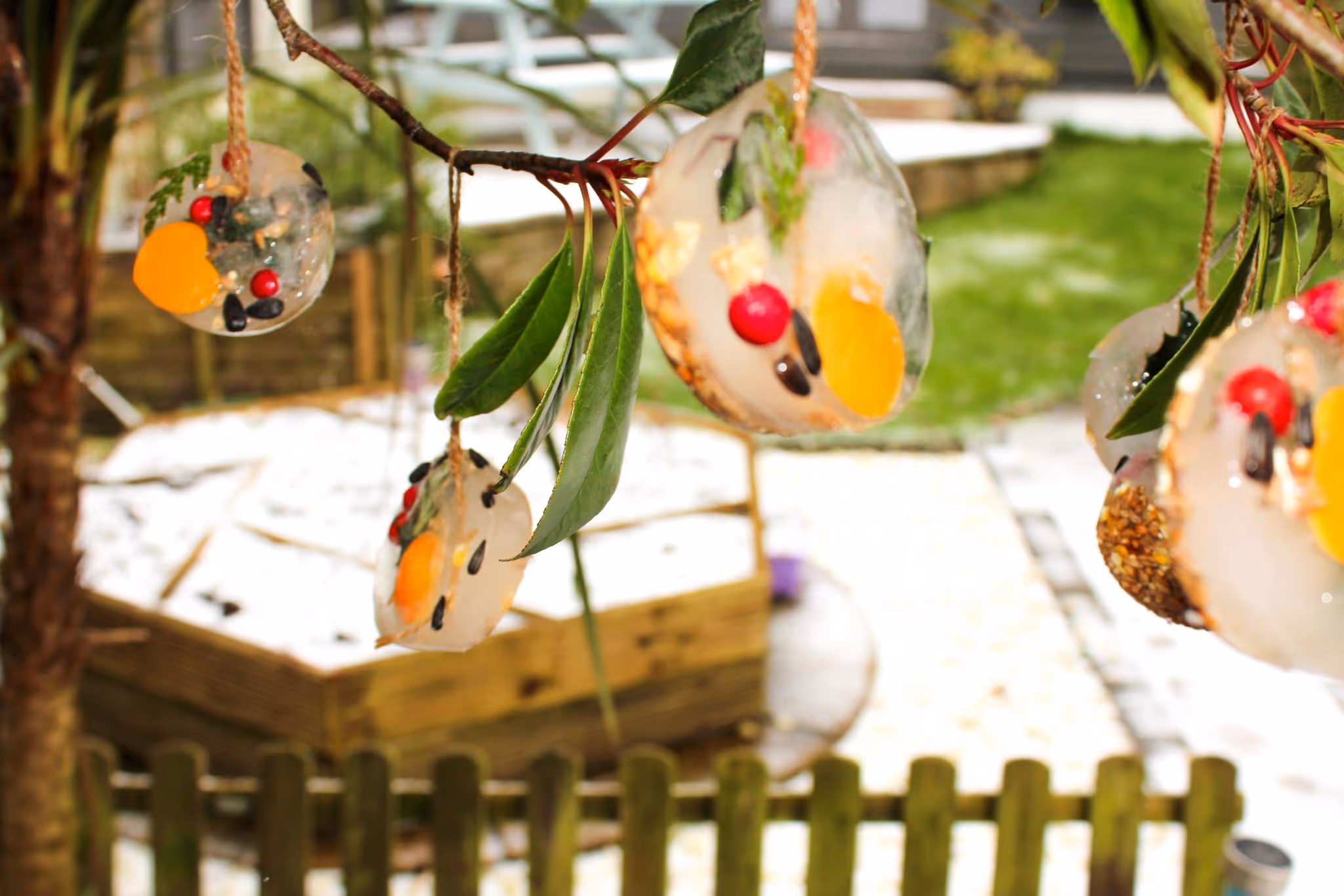 Hanging Ice Ornament Bird Feeder - Mother Of Grom