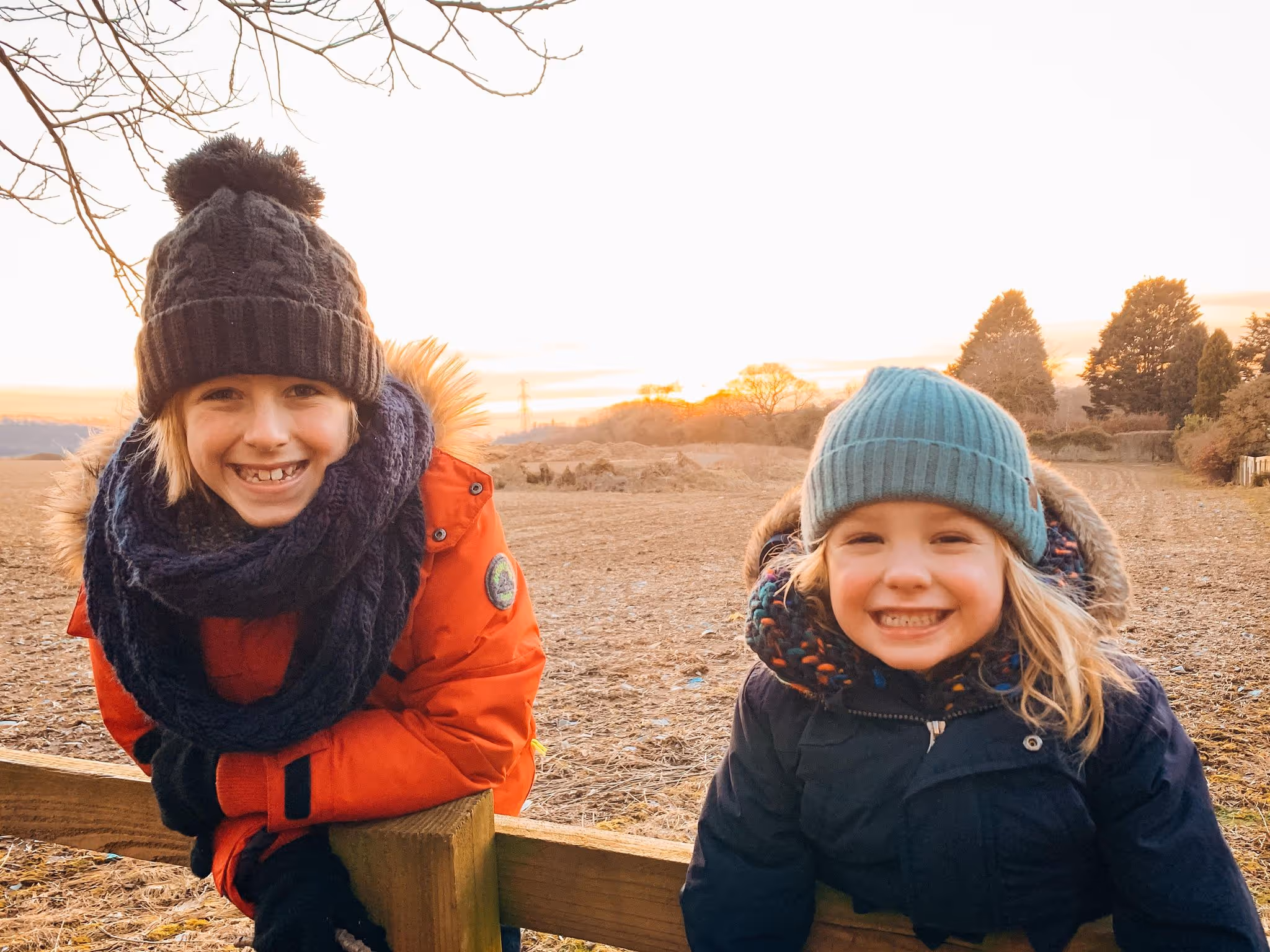 Hanging Ice Ornament Bird Feeder - Mother Of Grom