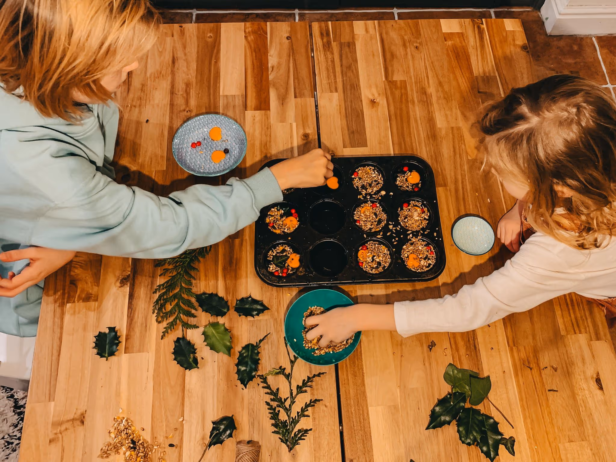 Hanging Ice Ornament Bird Feeder - Mother Of Grom