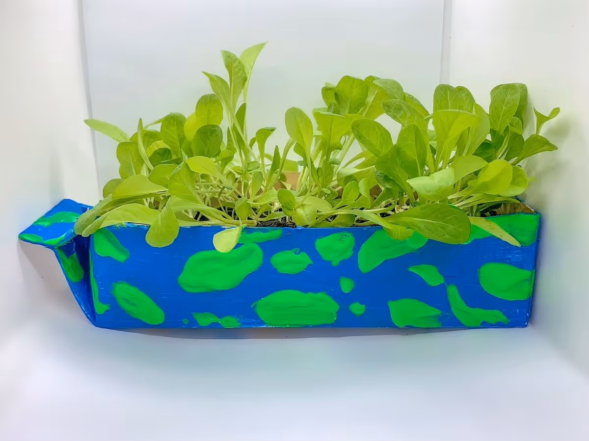 Plant-Based Milk Carton Planter - Mother Of Grom