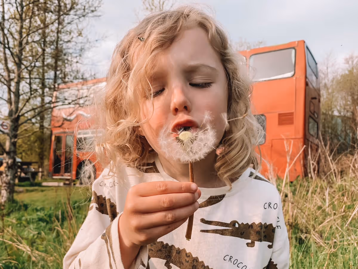 Mother of Grom - Weird Weekends in Wales