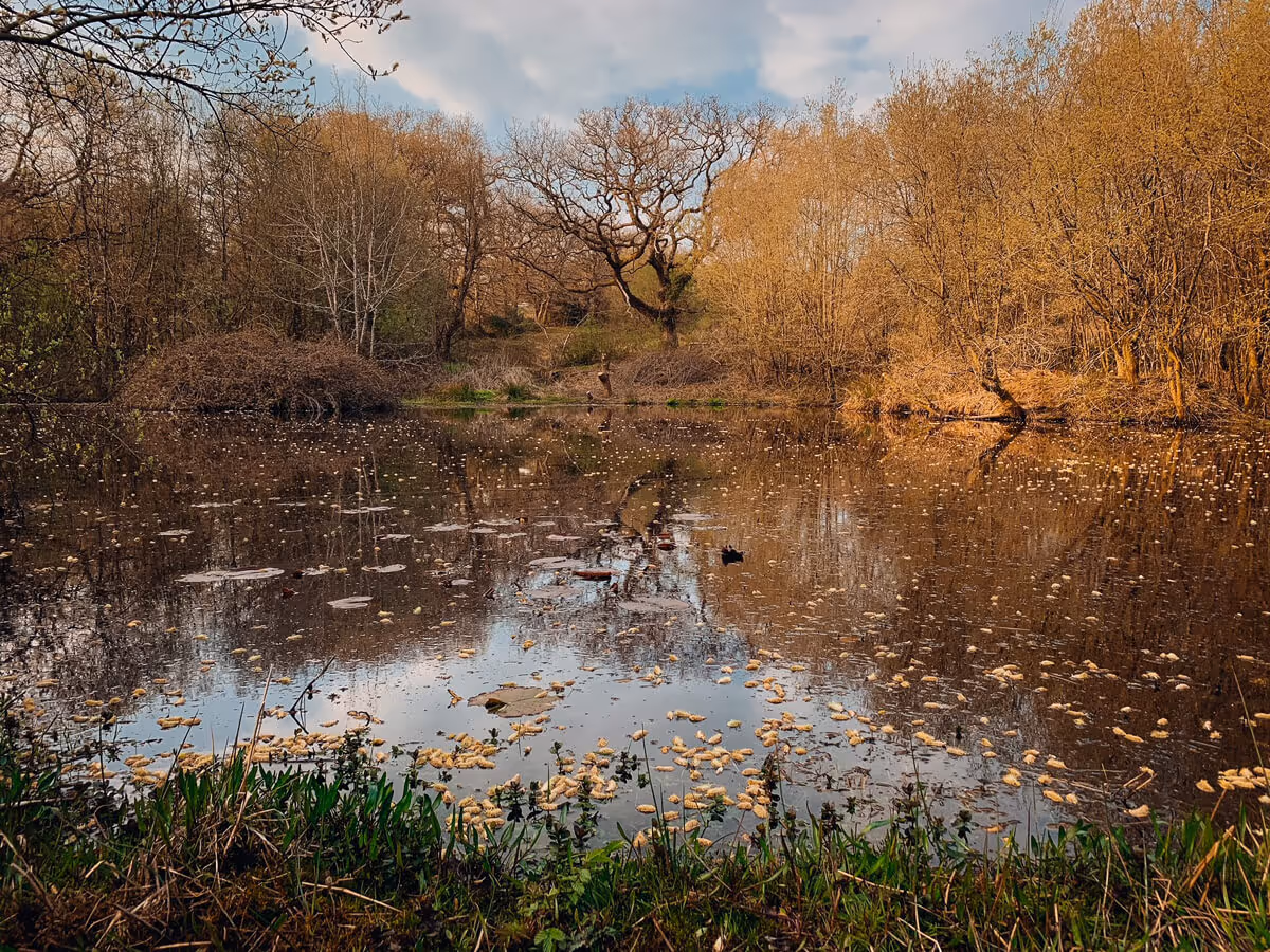 Mother of Grom - Weird Weekends in Wales