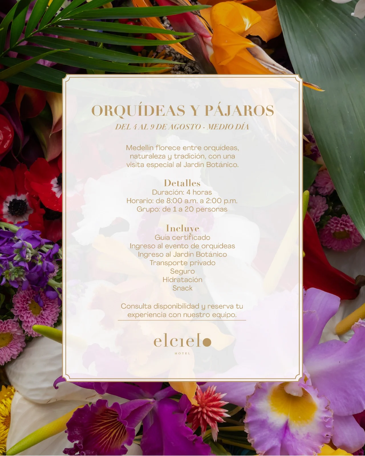 Tour de orquídeas y flores en el Jardín Botánico durante la Feria de Flores de Medellín