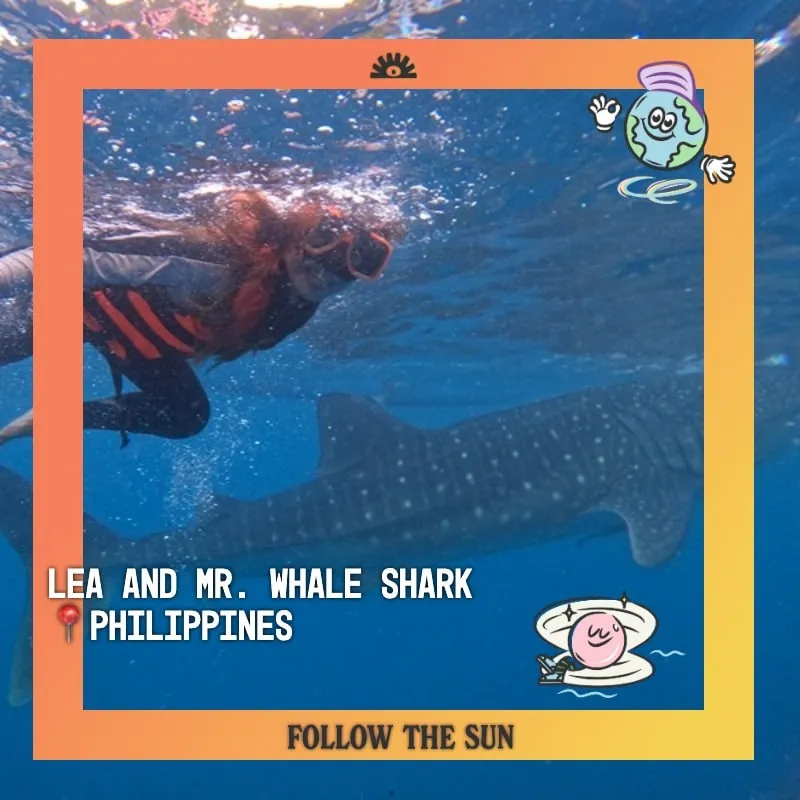 Photo booth snapshot of a snorkeler swimming beside a whale shark on a Follow the Sun frame from the Philippines