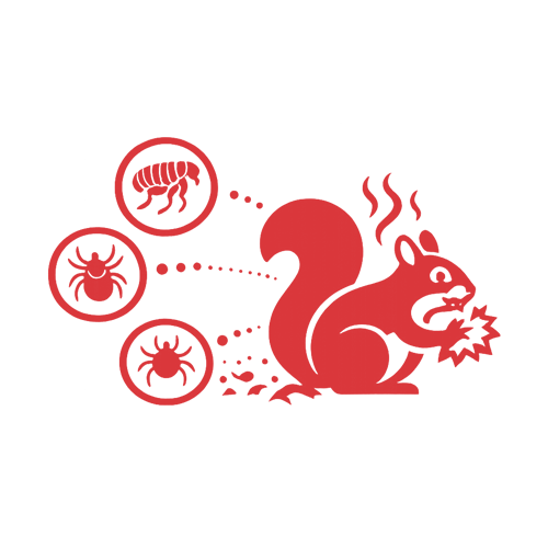 Raccoon logo