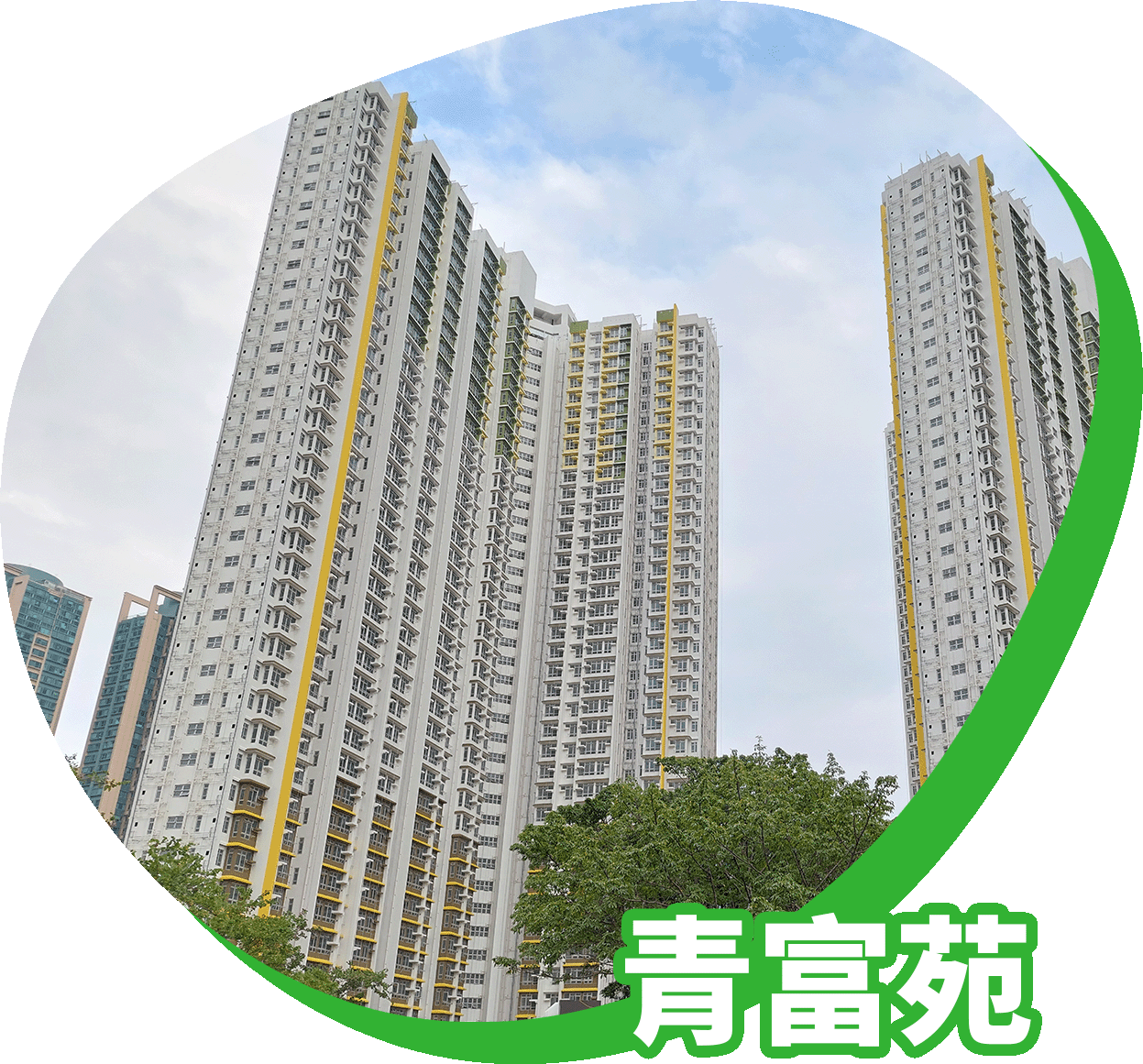 居屋青富苑