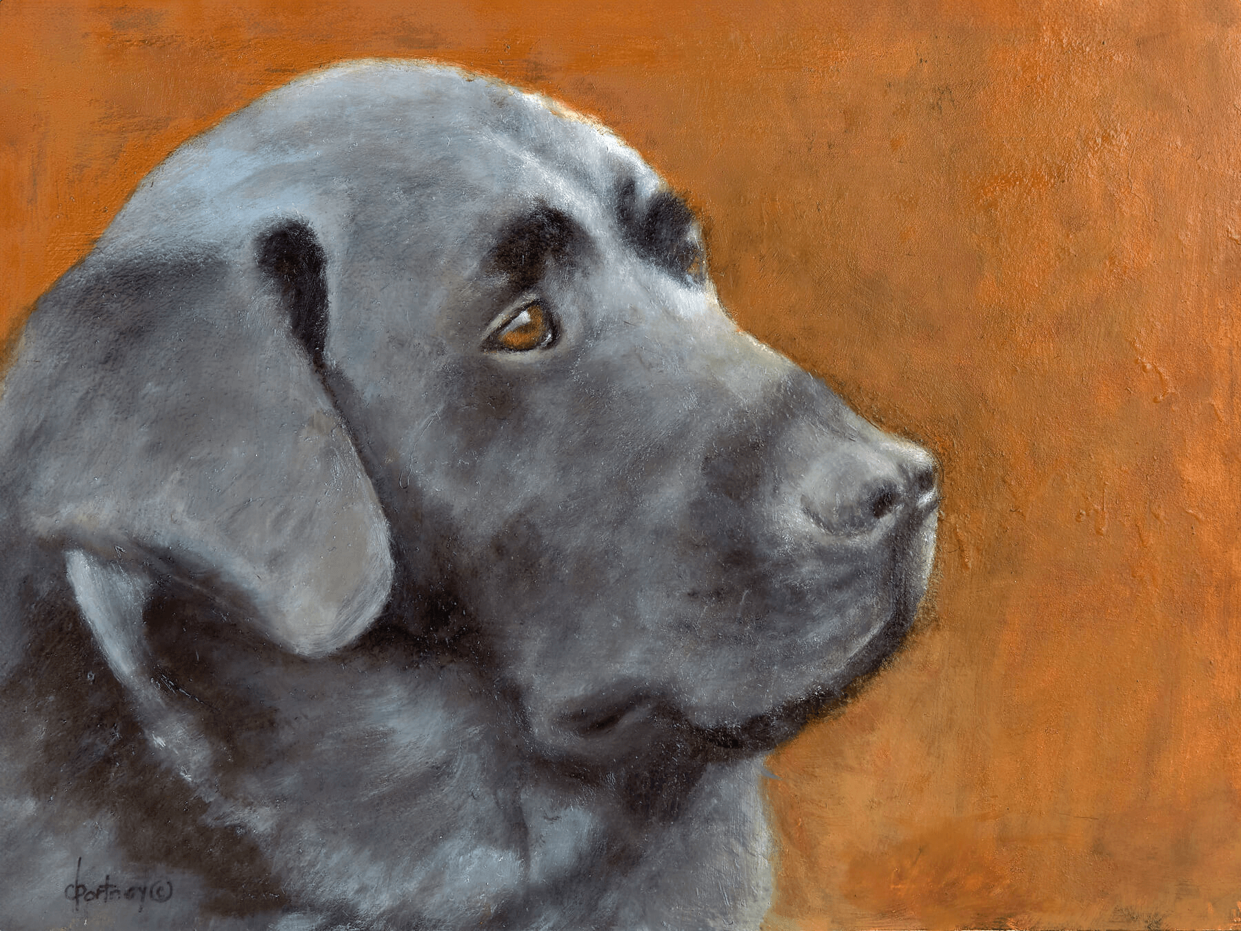 Pet portraits by Debra Portnoy