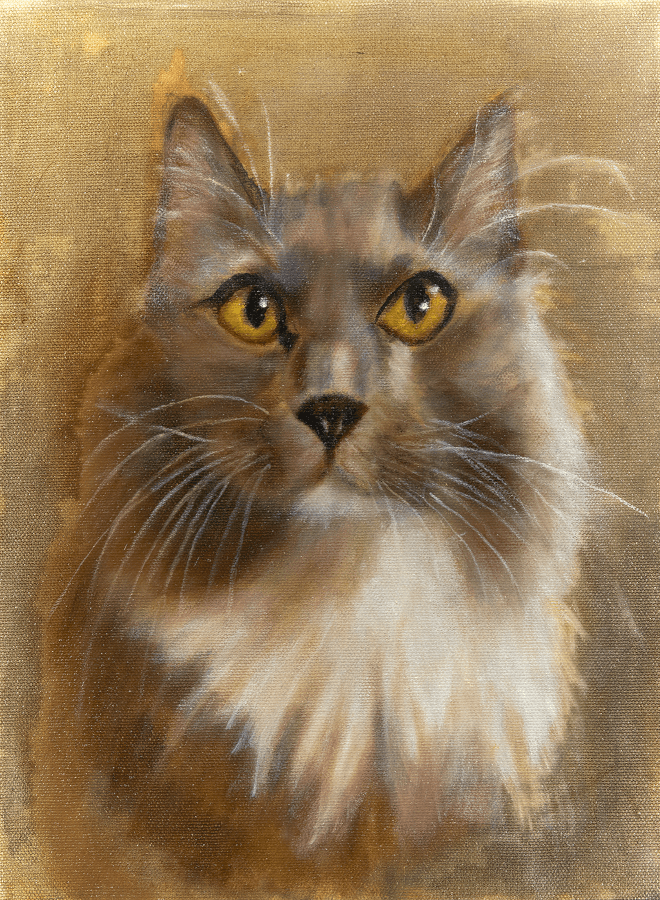 Pet portraits by Debra Portnoy