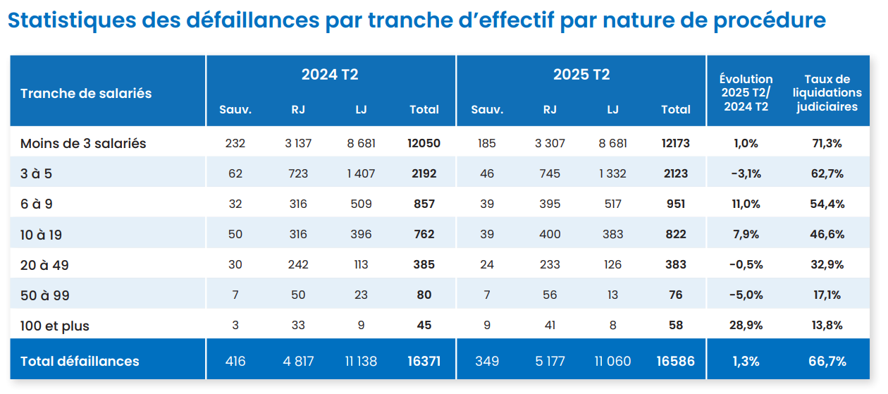 statistiques des défaillances par tranche d'effectif par nature de procédure