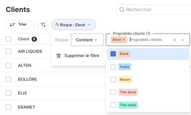 Propriétés clients dans LeanPay