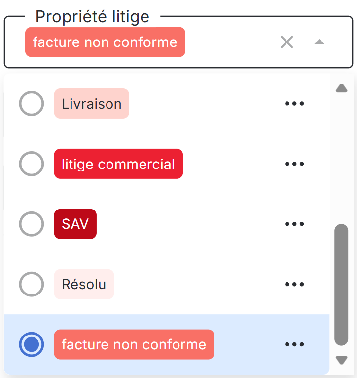 Exemples de catégories de litige dans LeanPay
