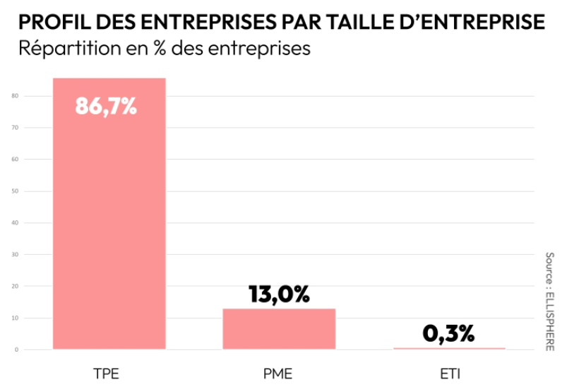 ELLISPHERE - la dynamique entrepreneuriale en France, fin juillet 2026 : profil des entreprises défaillantes par taille d’entreprise