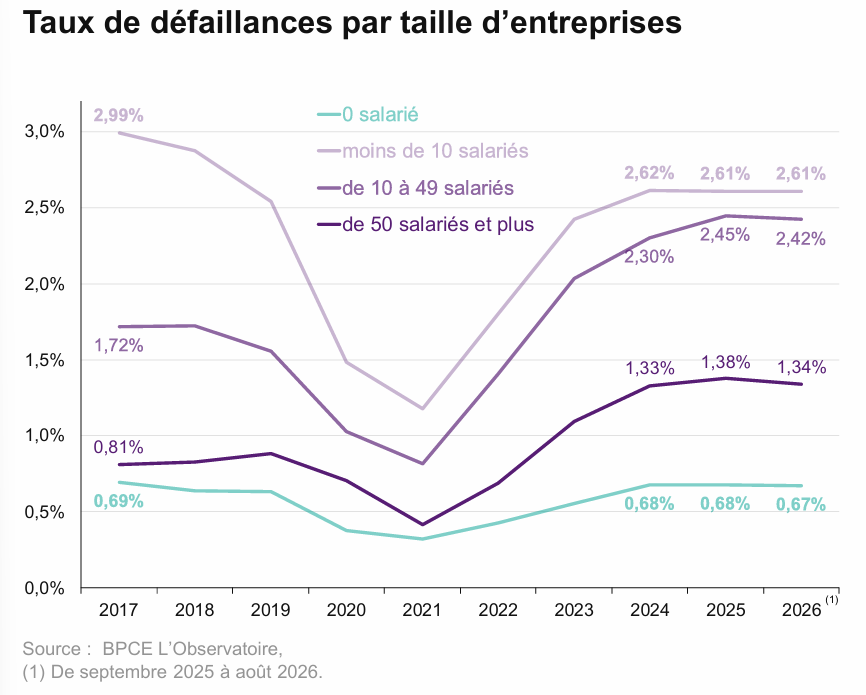 Graphique sur le taux de défaillances par taille d’entreprises issu de l’étude “Les entreprises en France, entre perspectives assombries et opportunités” de BPCE L’Observatoire