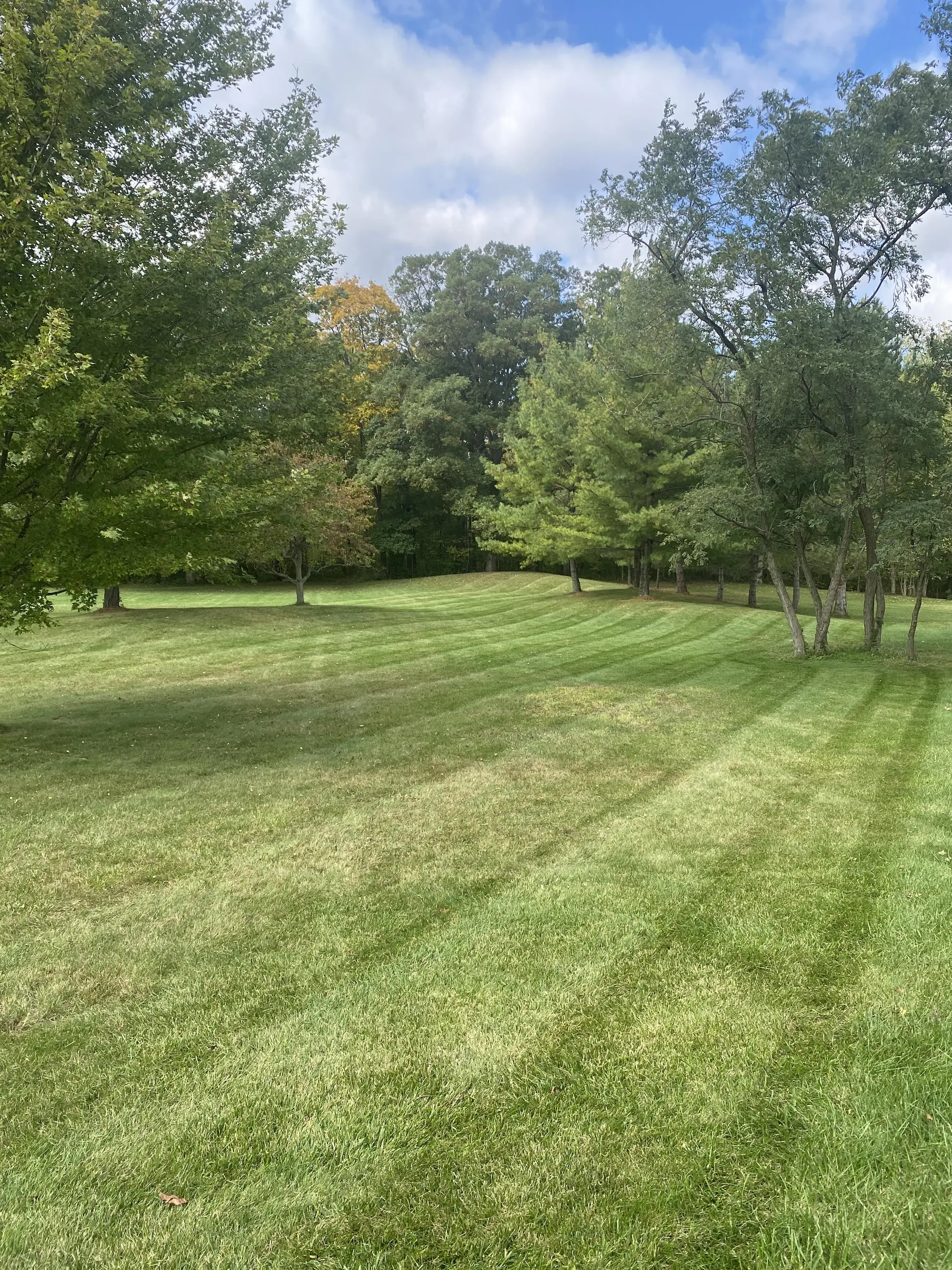 commercial and residential mowing services in Findlay.