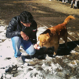 Shreeja the dog at Nainital
