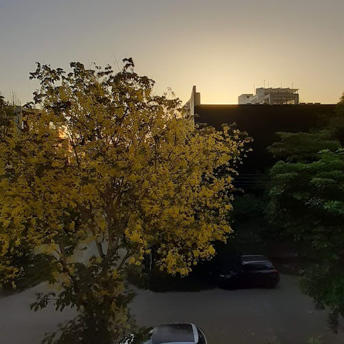Beautiful Sunrise at Home