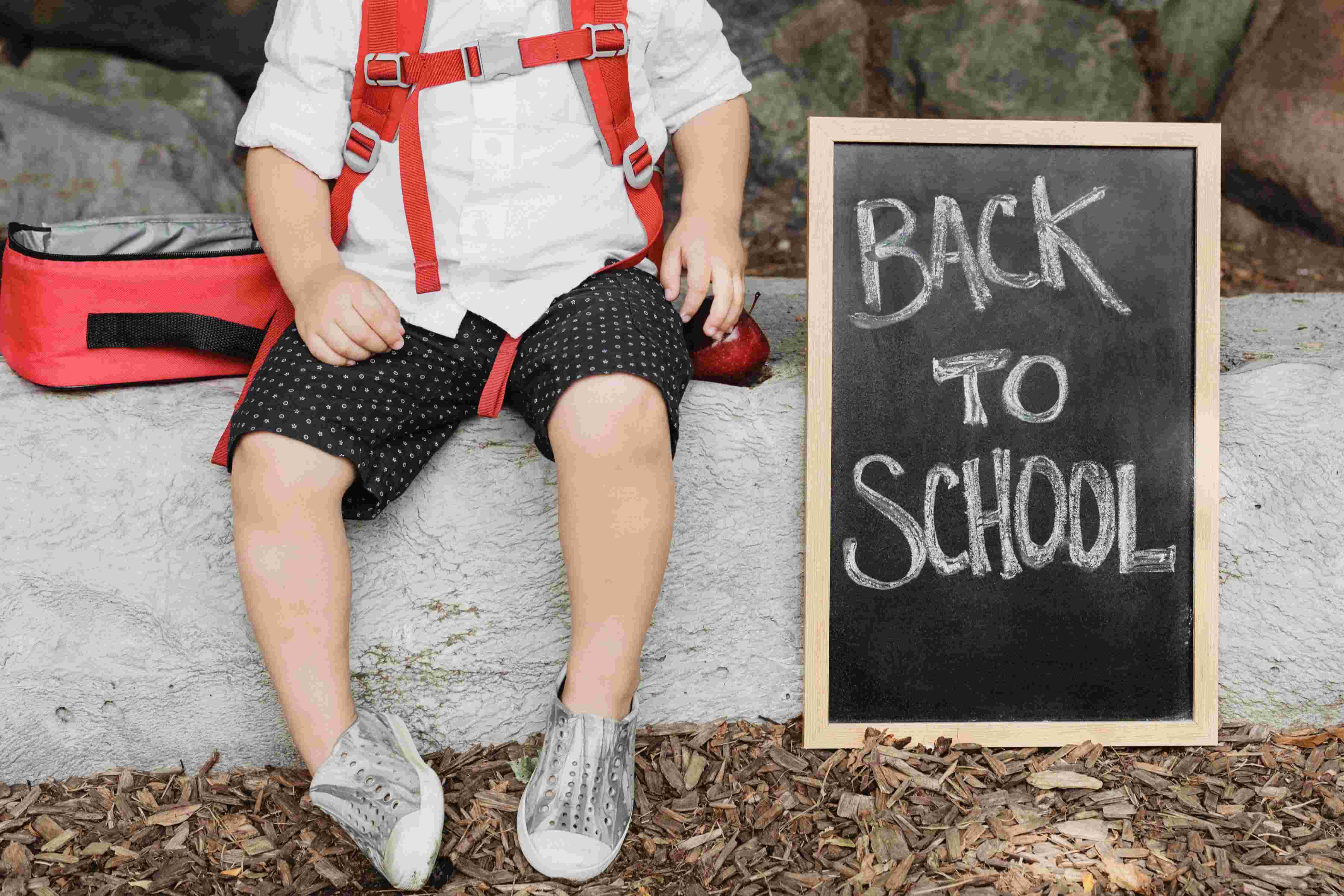 A boy in School Dress