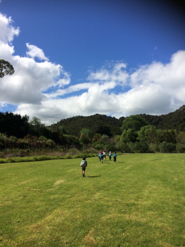 Manaia Kindergarten