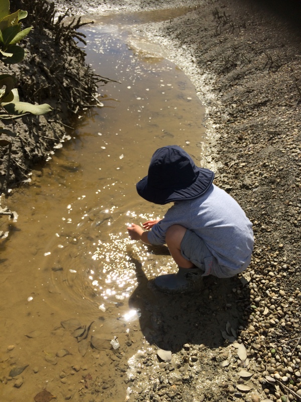 Manaia Kindergarten