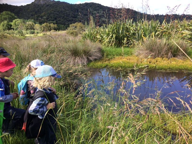 Manaia Kindergarten
