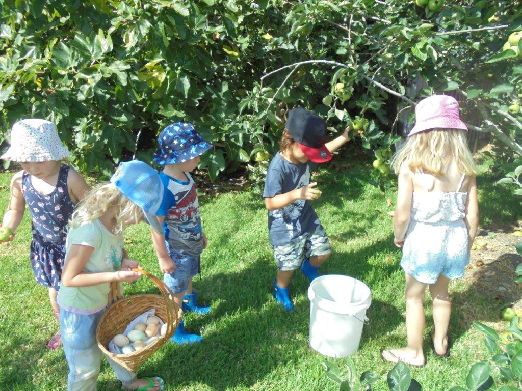 Ruawai Kindergarten