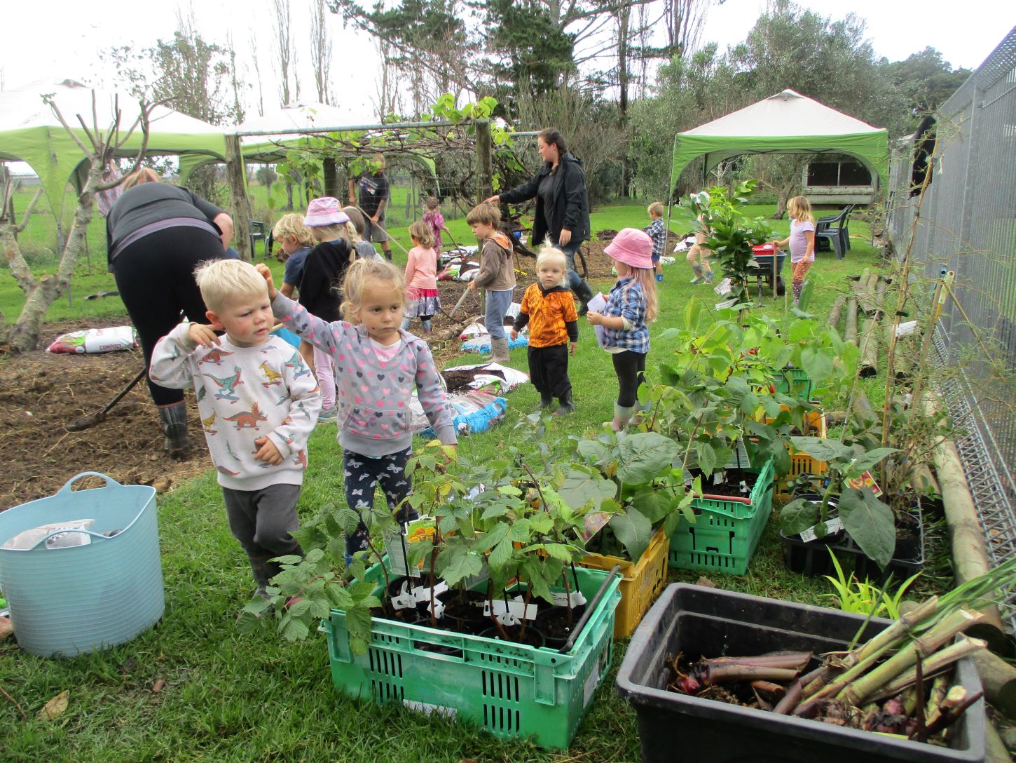 Ruawai Kindergarten