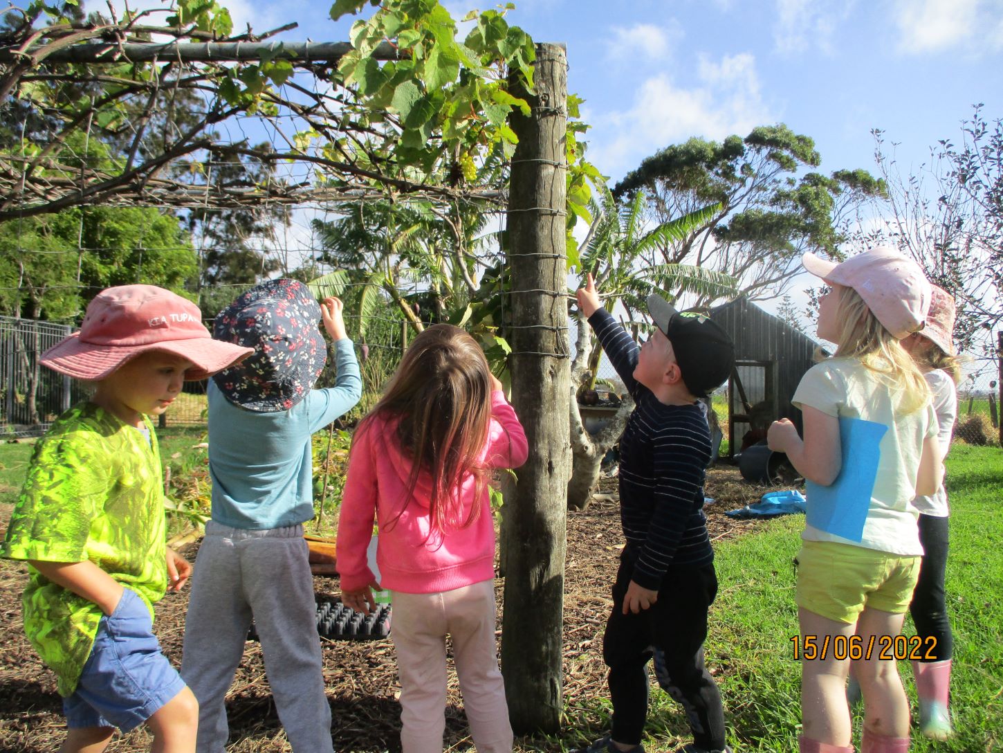 Ruawai Kindergarten