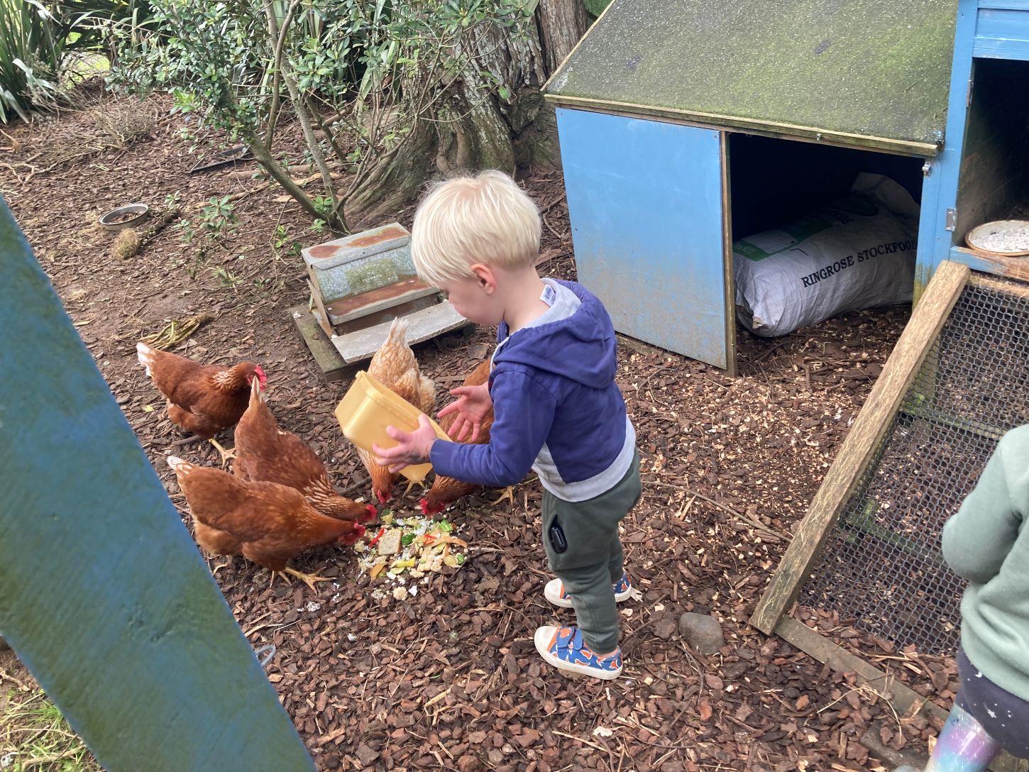 Comrie Park Kindergarten