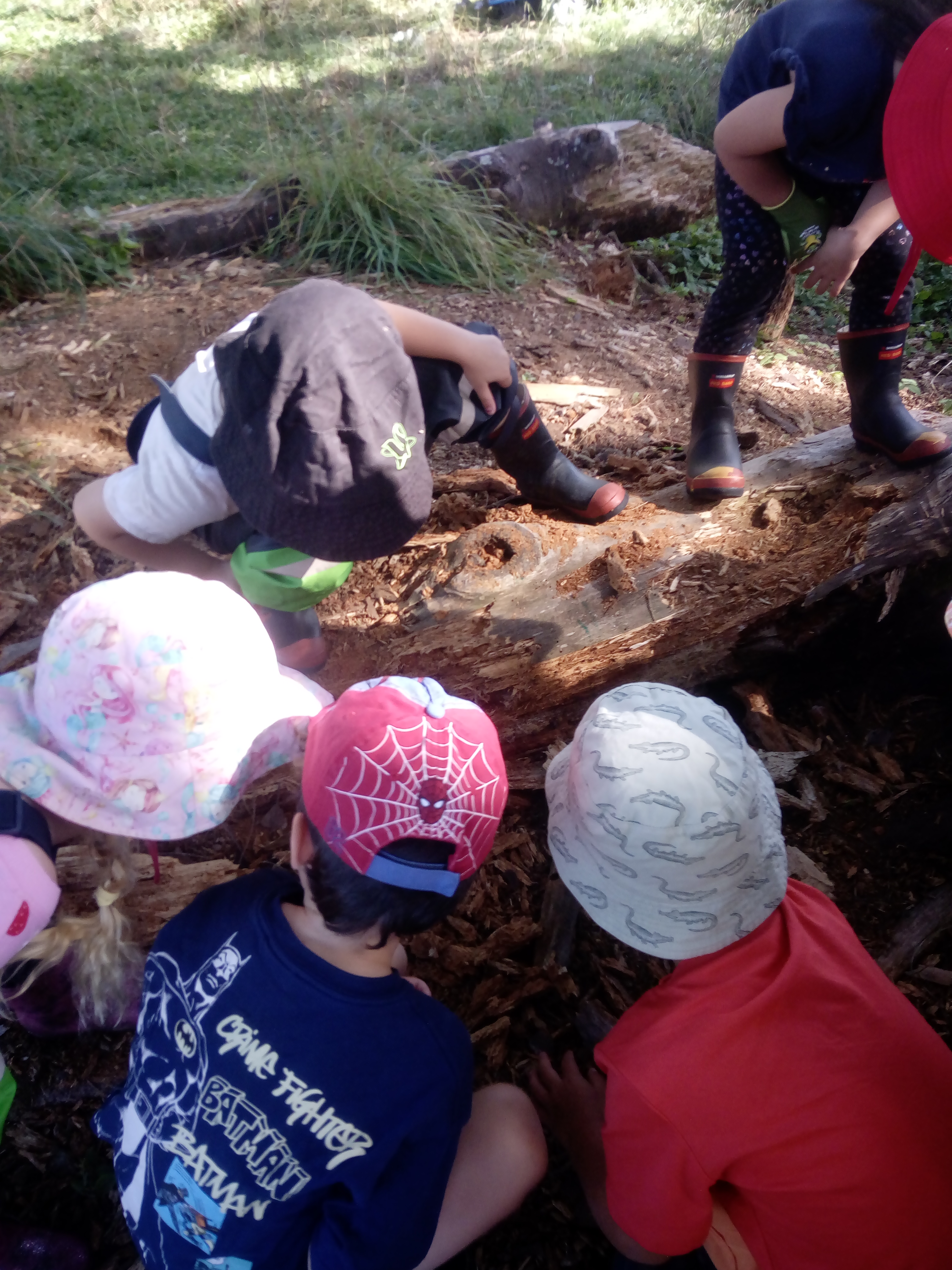 Comrie Park Kindergarten