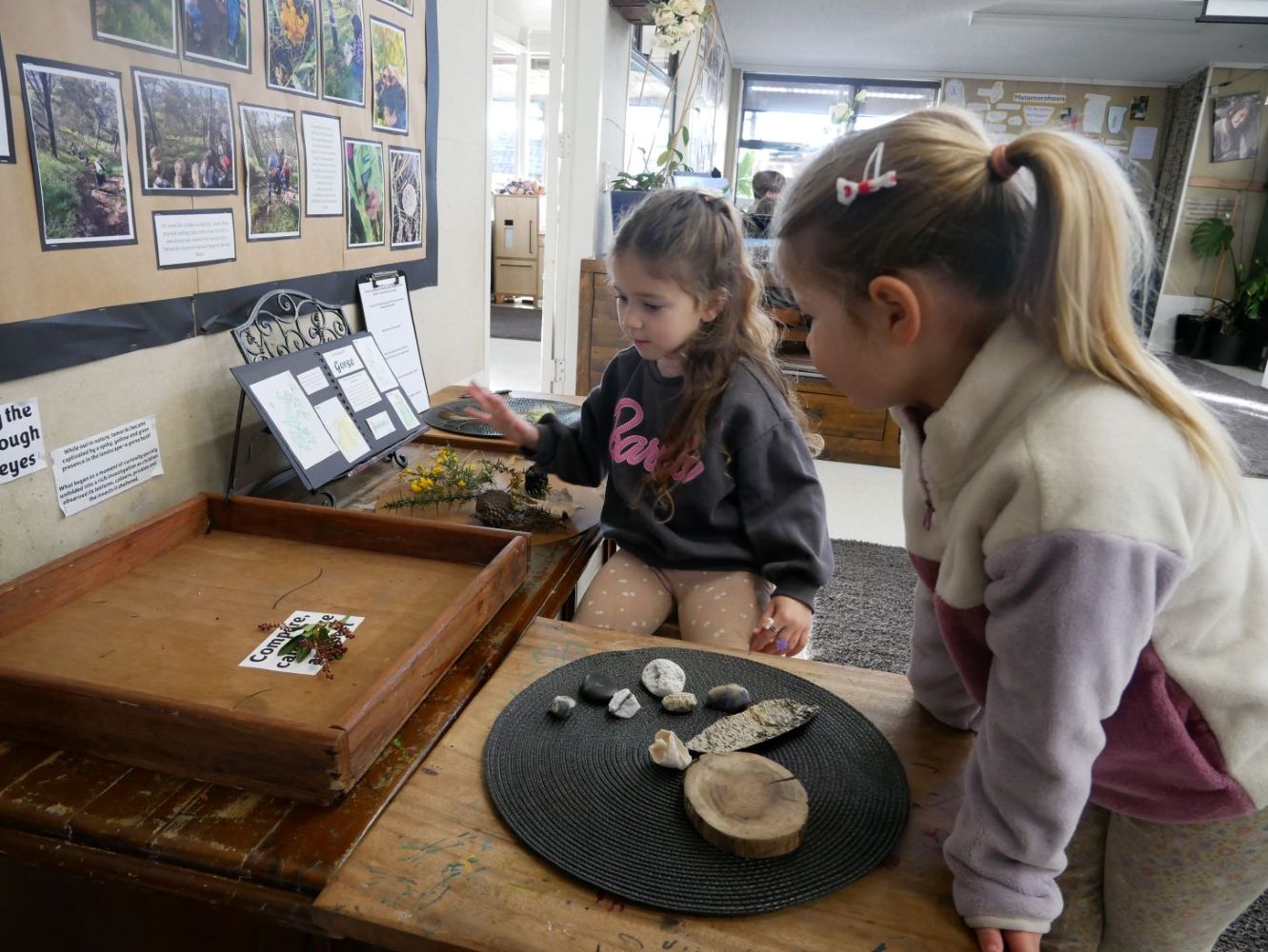 Bream Bay Kindergarten