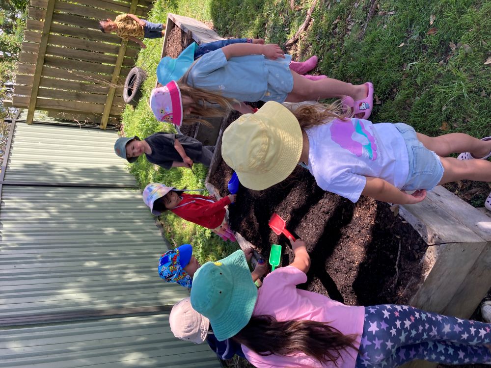 Te Kamo Kindergarten