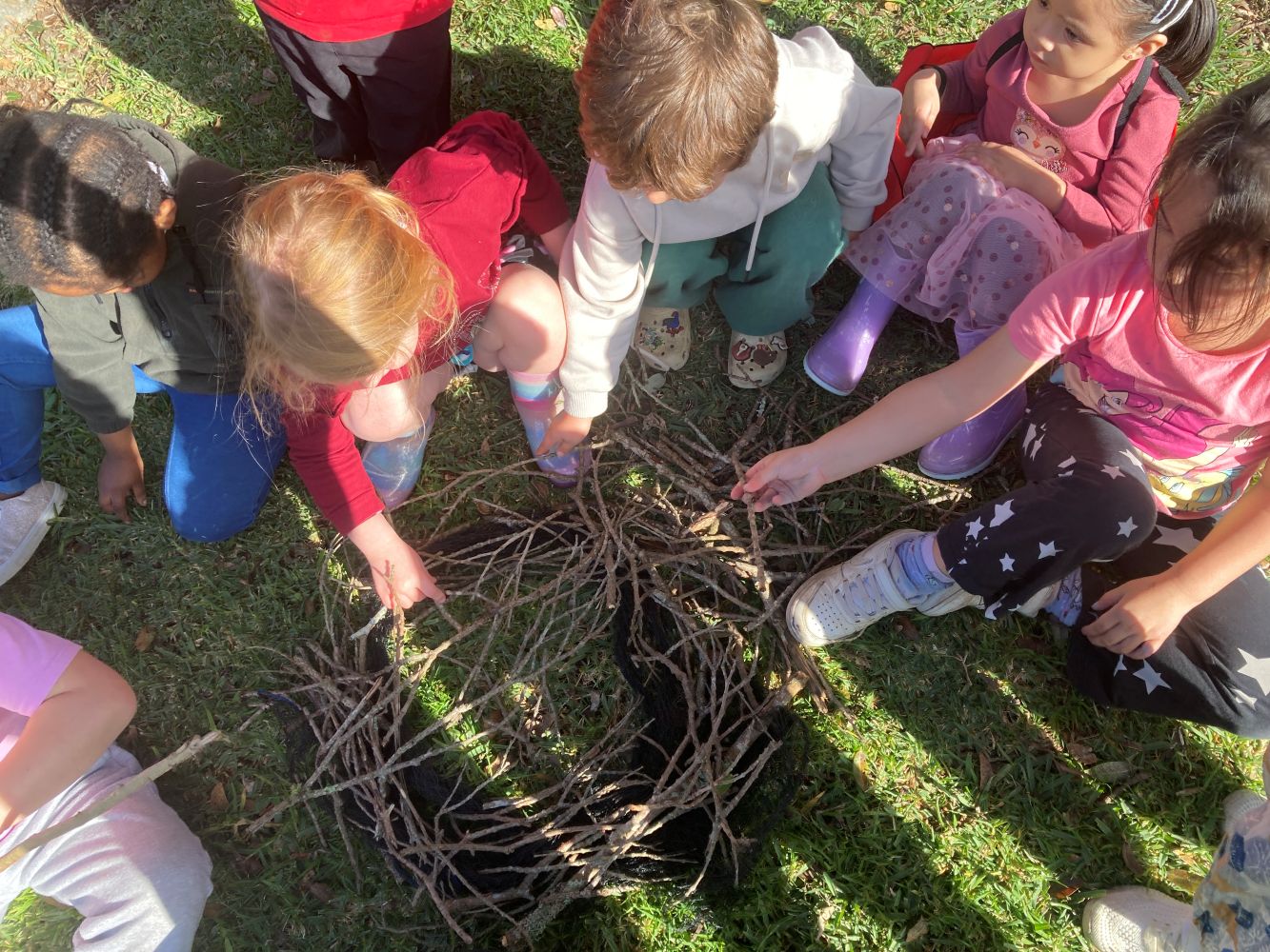 Te Kamo Kindergarten